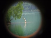 sculpture de sara renaud