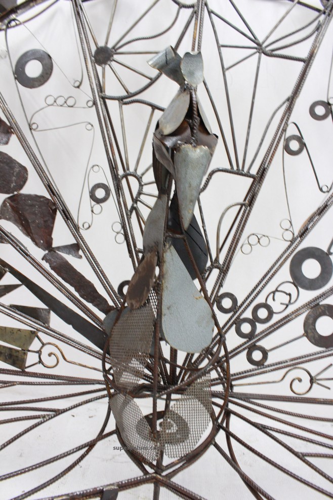 projet paon public supervolum 090