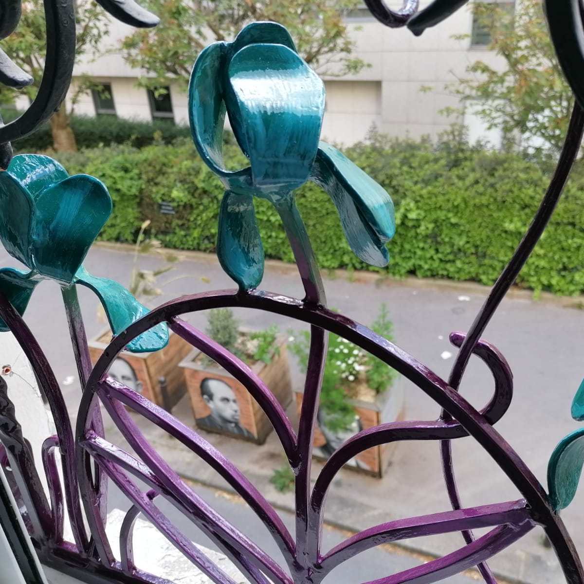Des Iris pour ma Sis’ / Irises for my Sis’